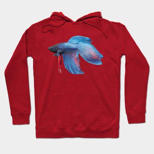 halfmoon bettafish Hoodie by MACIBETTA